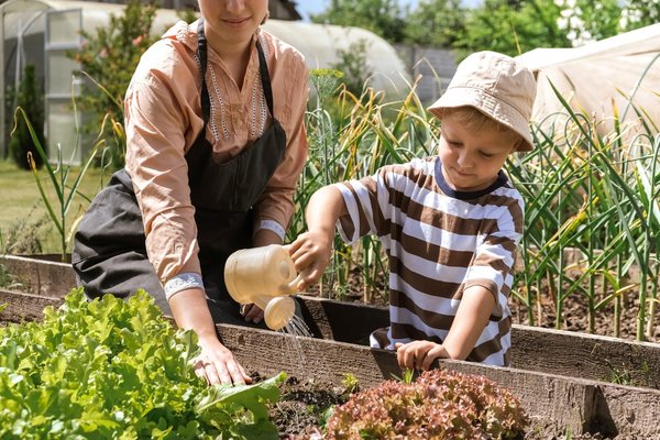Quelles plantes choisir pour un mur végétal intérieur à faible entretien ?