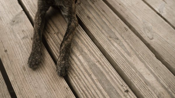 Comment choisir le bon type de plancher pour chaque pièce de la maison ?